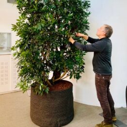 Planten inspiratie